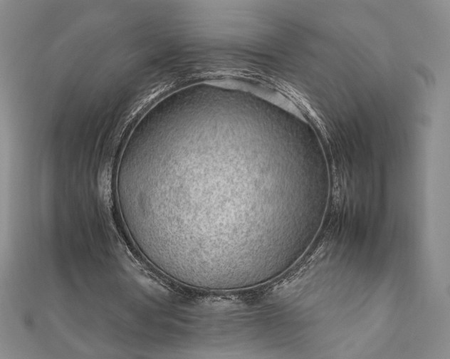 X0000111920386200908031209