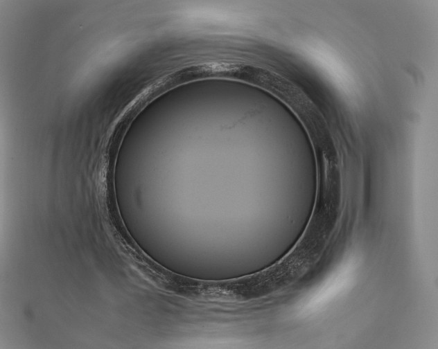 X0000111920387200908031209