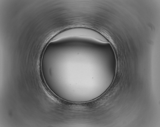 X0000111920389200908031209