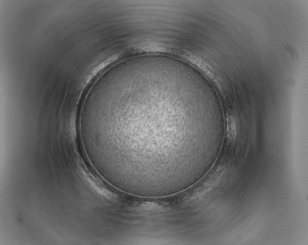 X0000111920390200908031209