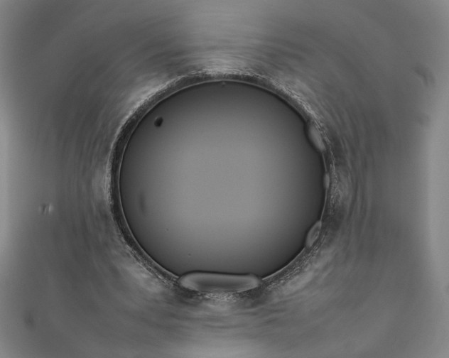 X0000111920391200908031209