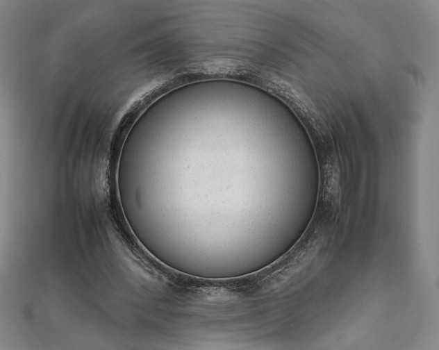 X0000111920392200908031209