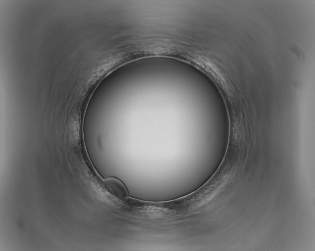 X0000111920393200908031209