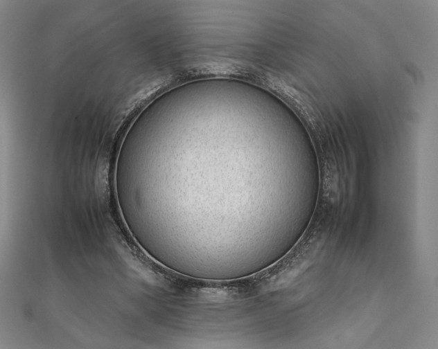 X0000111920394200908031209