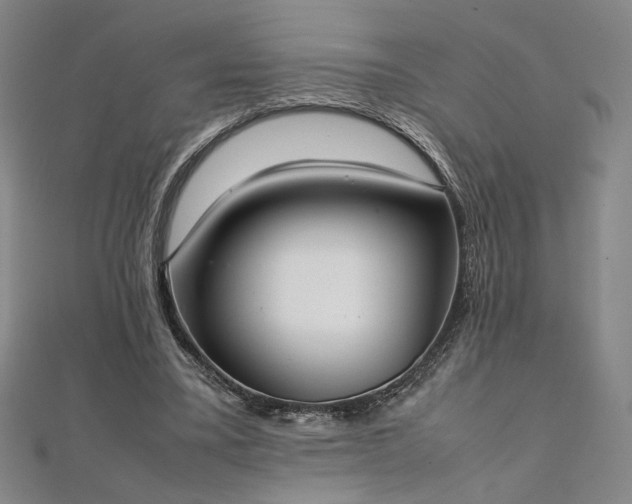 X0000111920395200908031209