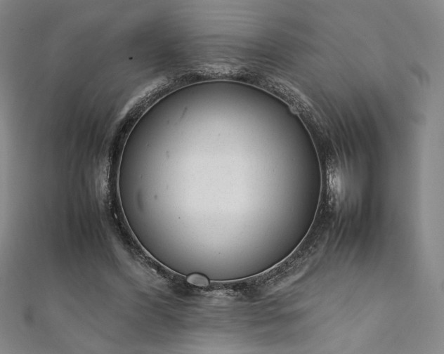 X0000111920396200908031209