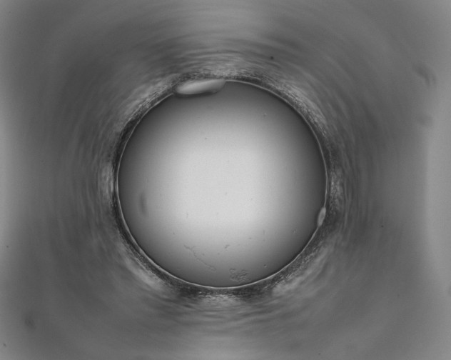 X0000111920397200908031209