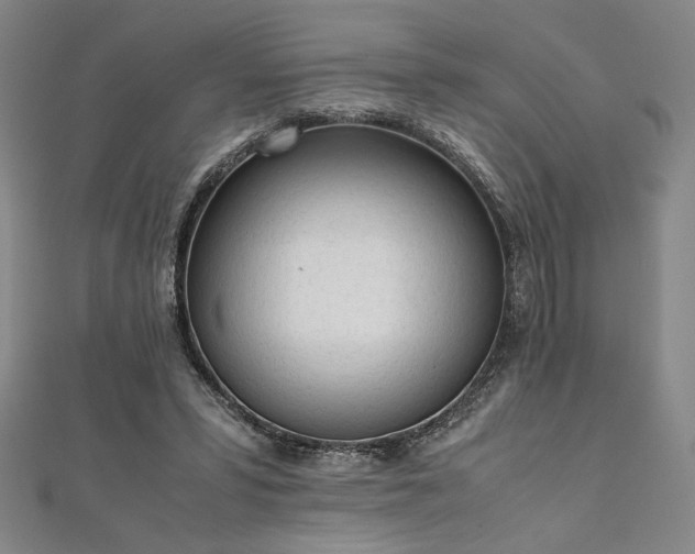 X0000111920399200908031209