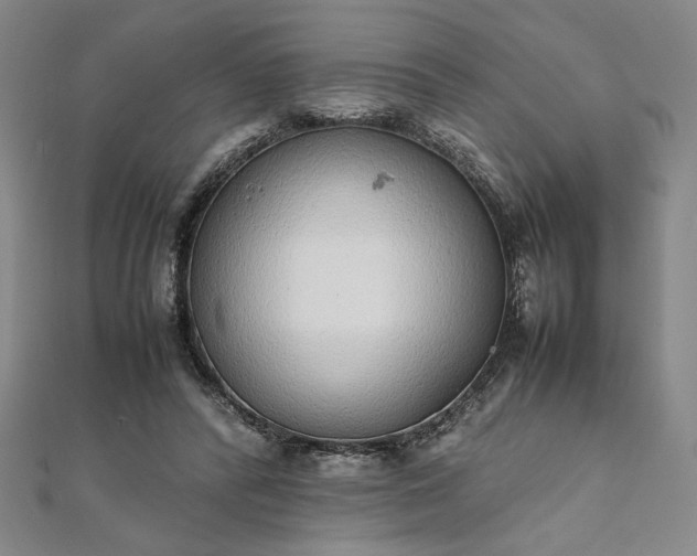 X0000111920400200908031209