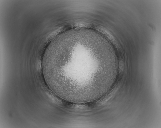 X0000111920401200908031209