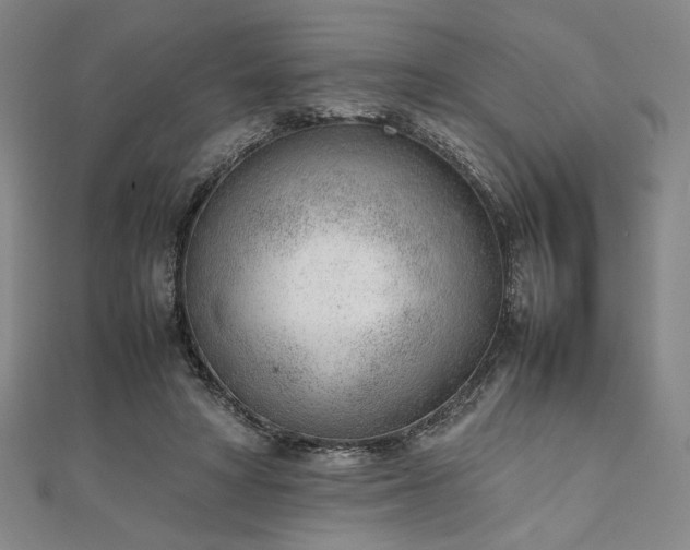 X0000111920402200908031209