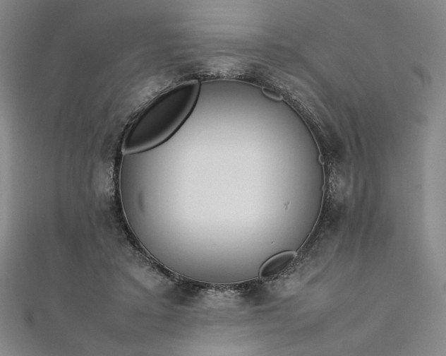 X0000111920403200908031209