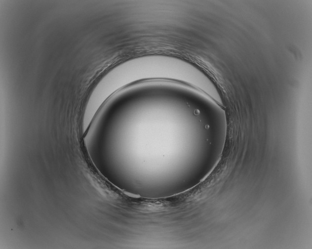 X0000111920405200908031209