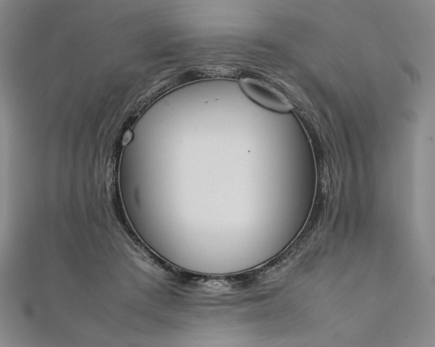 X0000111920409200908031209