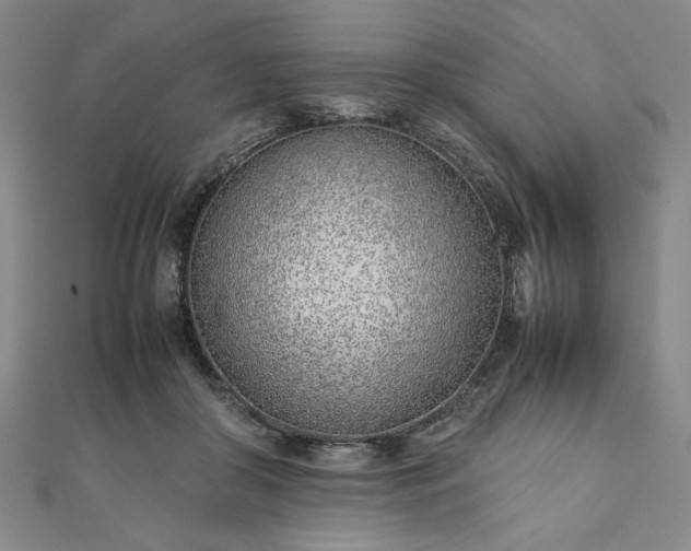 X0000111920410200908031209