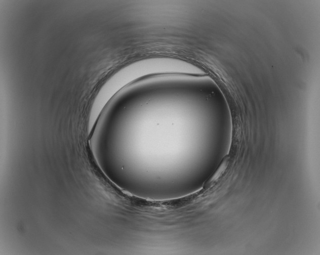 X0000111920411200908031209