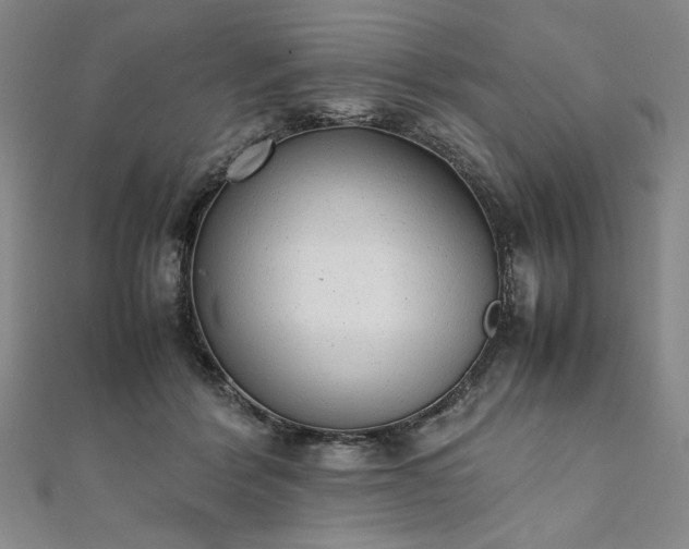 X0000111920412200908031209