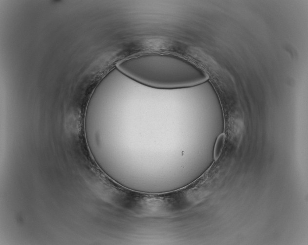 X0000111920413200908031209