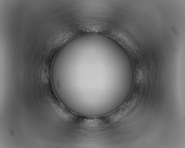 X0000111920414200908031209