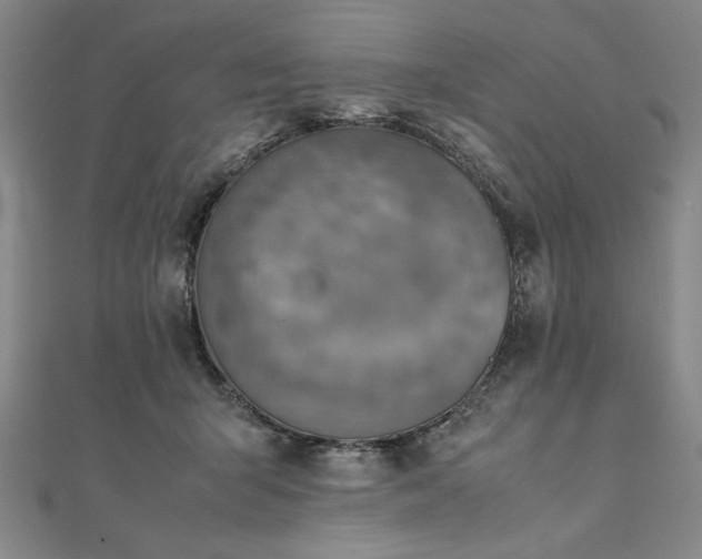 X0000111920415200908031209