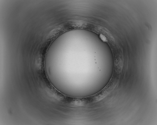 X0000111920416200908031209