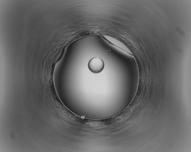 X0000111920417200908031209