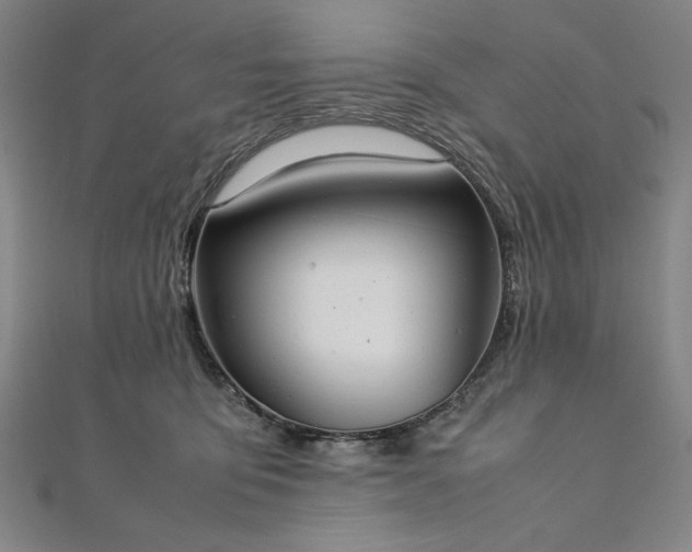 X0000111920419200908031208