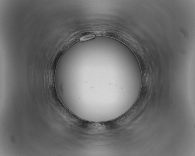 X0000111920421200908031208