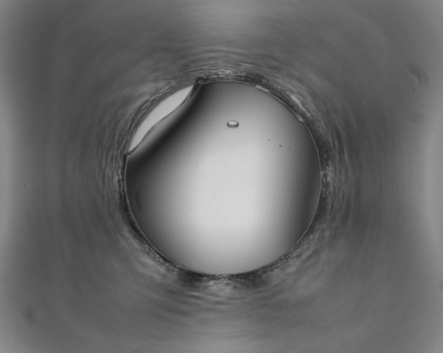 X0000111920423200908031208