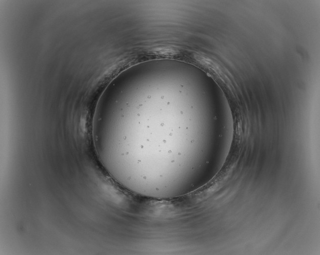 X0000111920424200908031208