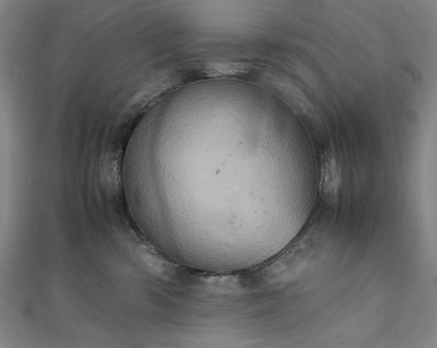 X0000111920426200908031208