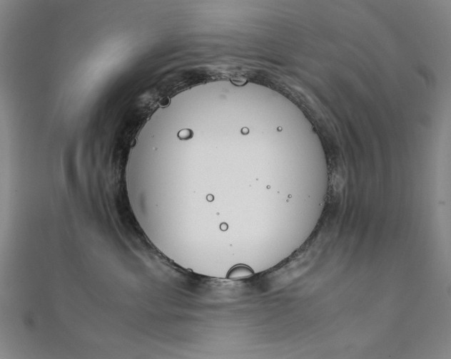 X0000111920429200908031208