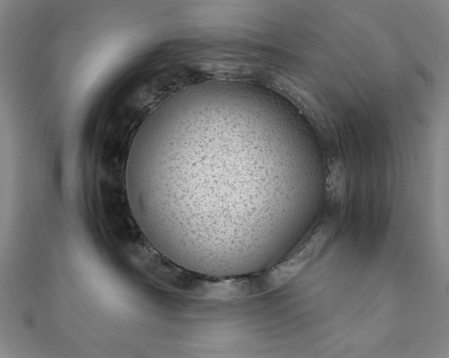 X0000111920430200908031208