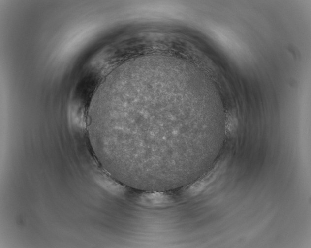 X0000111920431200908031208