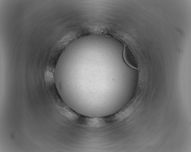 X0000111920432200908031208