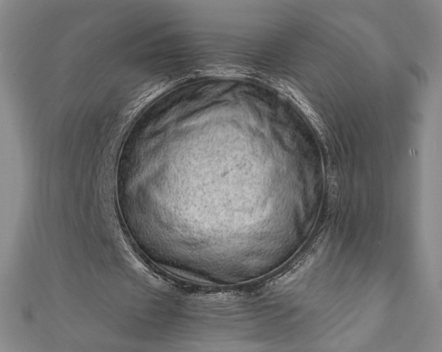 X0000111920433200908031208