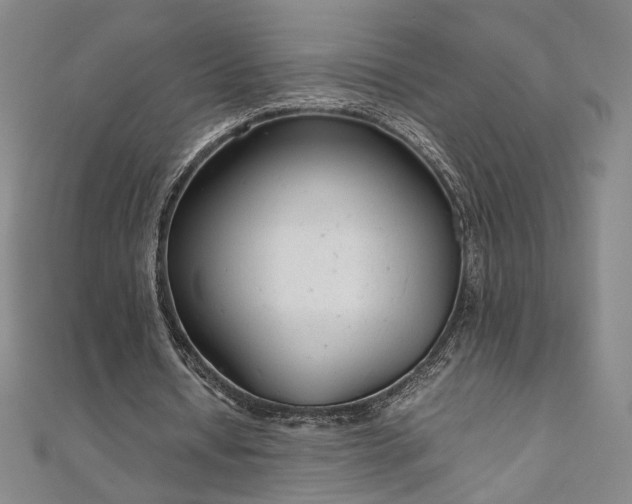 X0000111920434200908031208