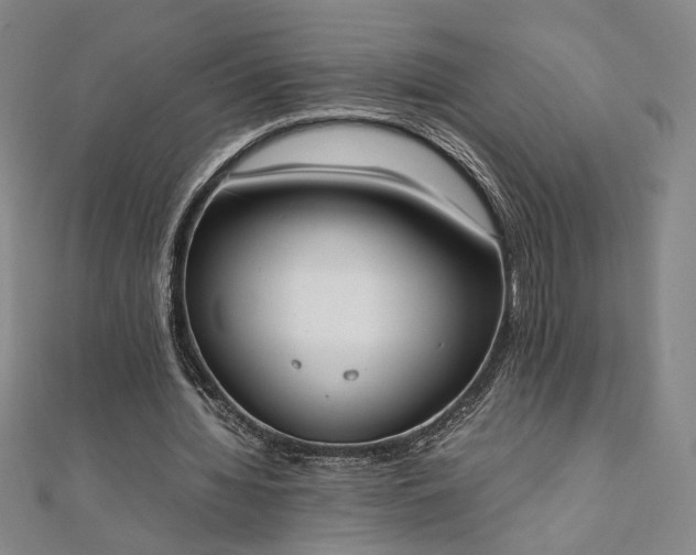 X0000111920436200908031208