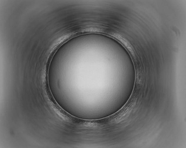 X0000111920437200908031208