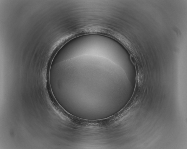 X0000111920438200908031208