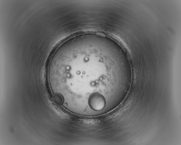 X0000111920439200908031208