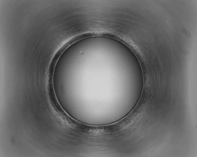 X0000111920440200908031208