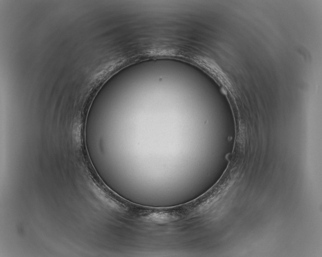 X0000111920441200908031208