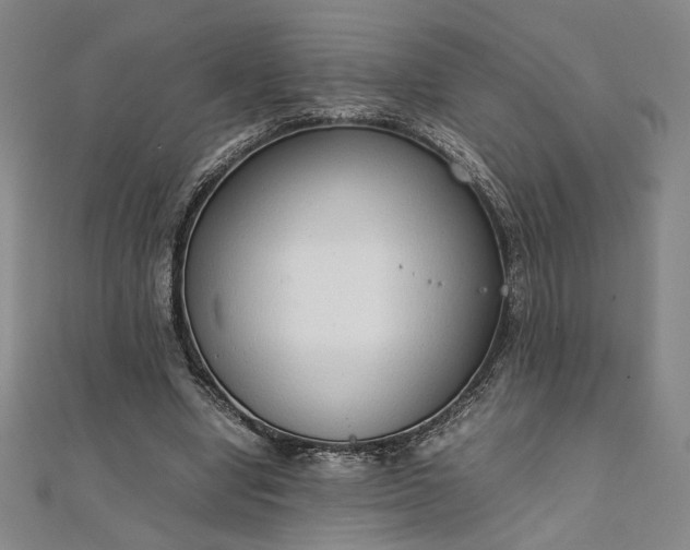 X0000111920442200908031208