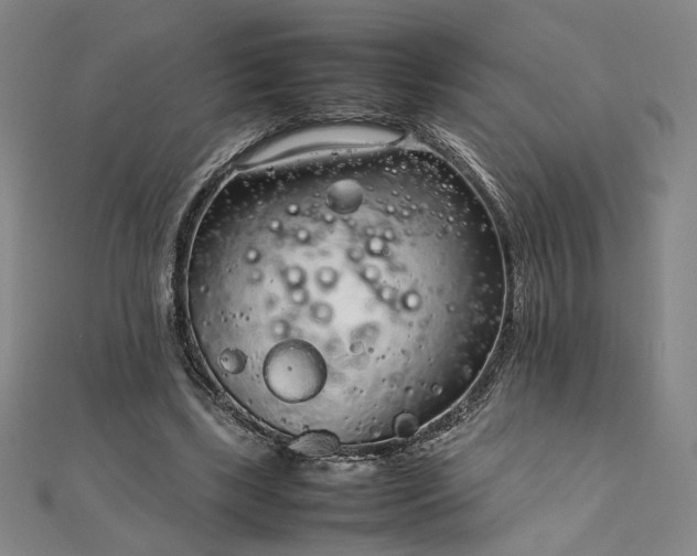 X0000111920443200908031208