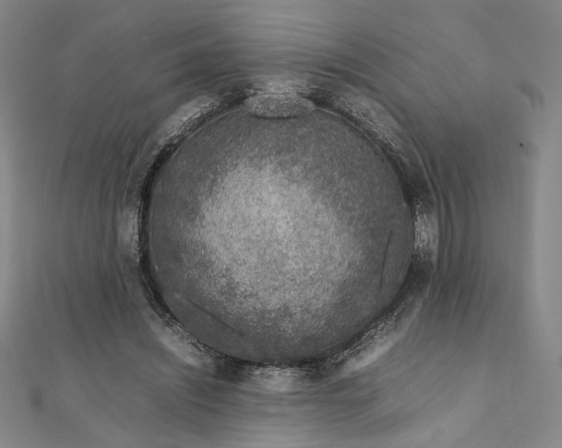 X0000111920444200908031208