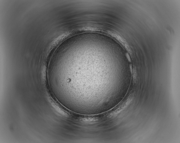 X0000111920445200908031208