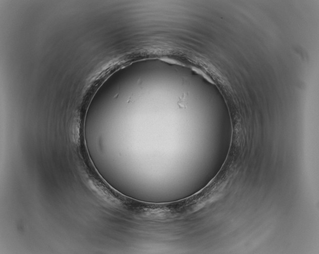 X0000111920446200908031208