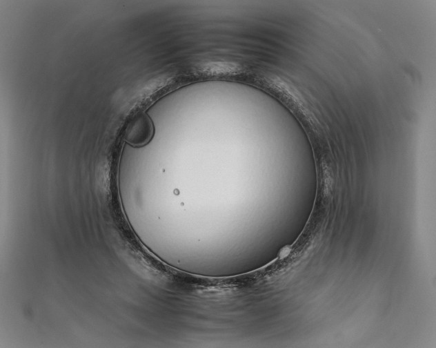 X0000111920447200908031208