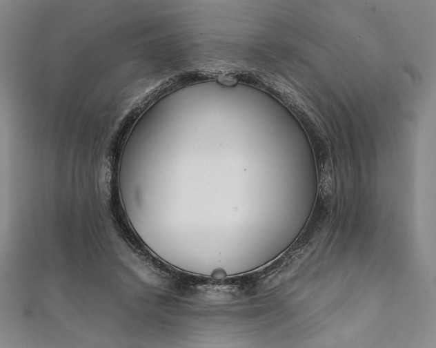 X0000111920448200908031208